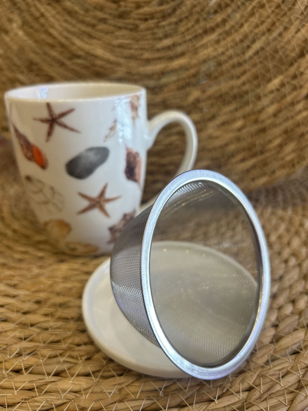 TAZA SHELLS