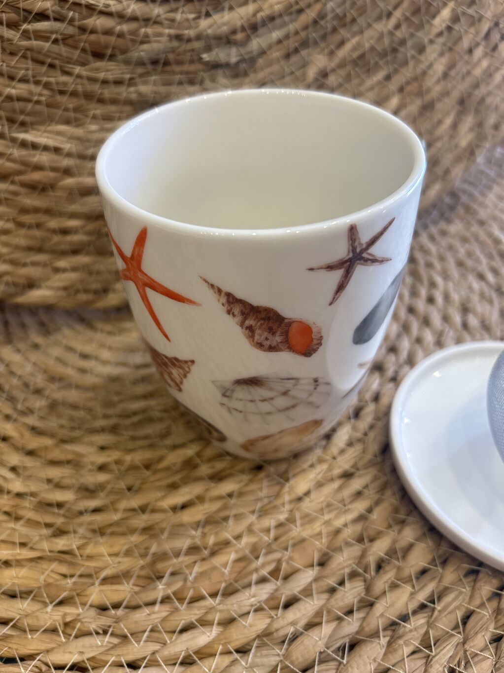 TAZA SHELLS