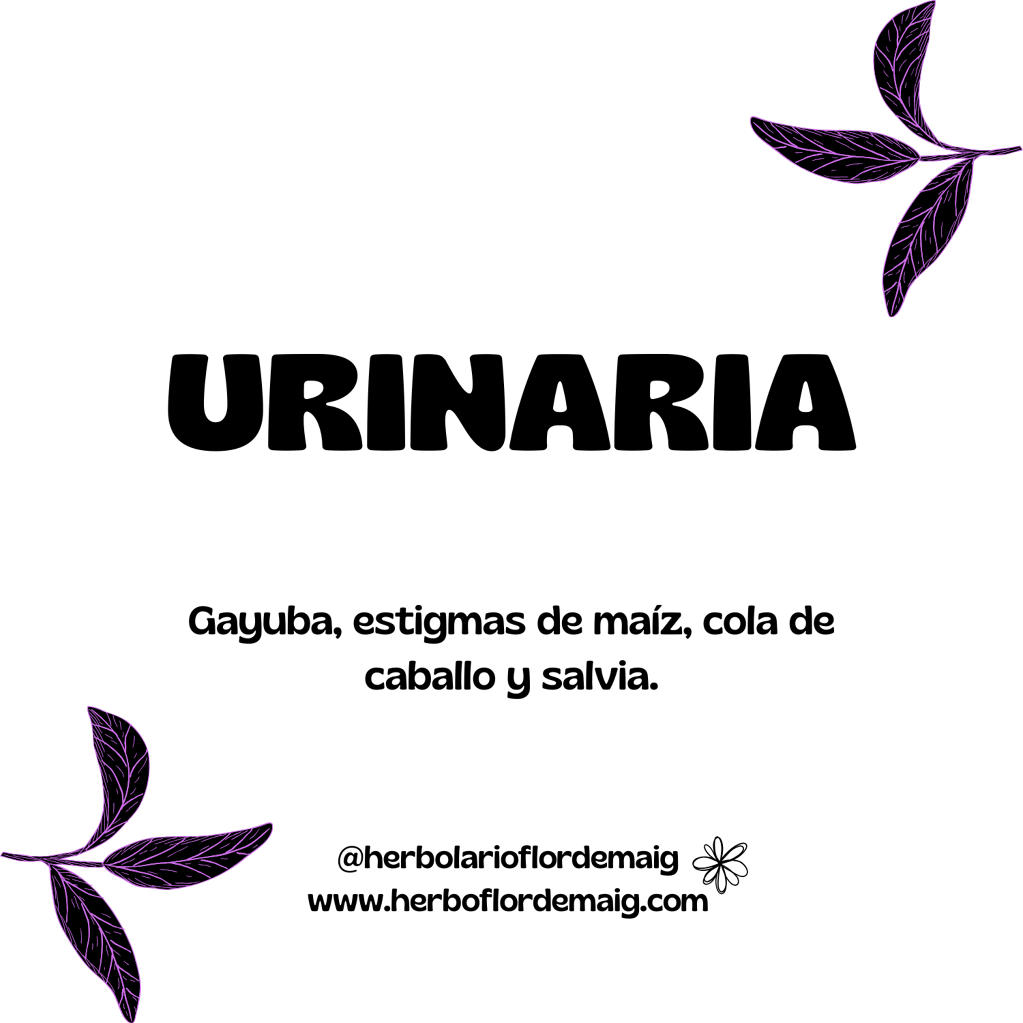 INFUSIÓN URINARIA 