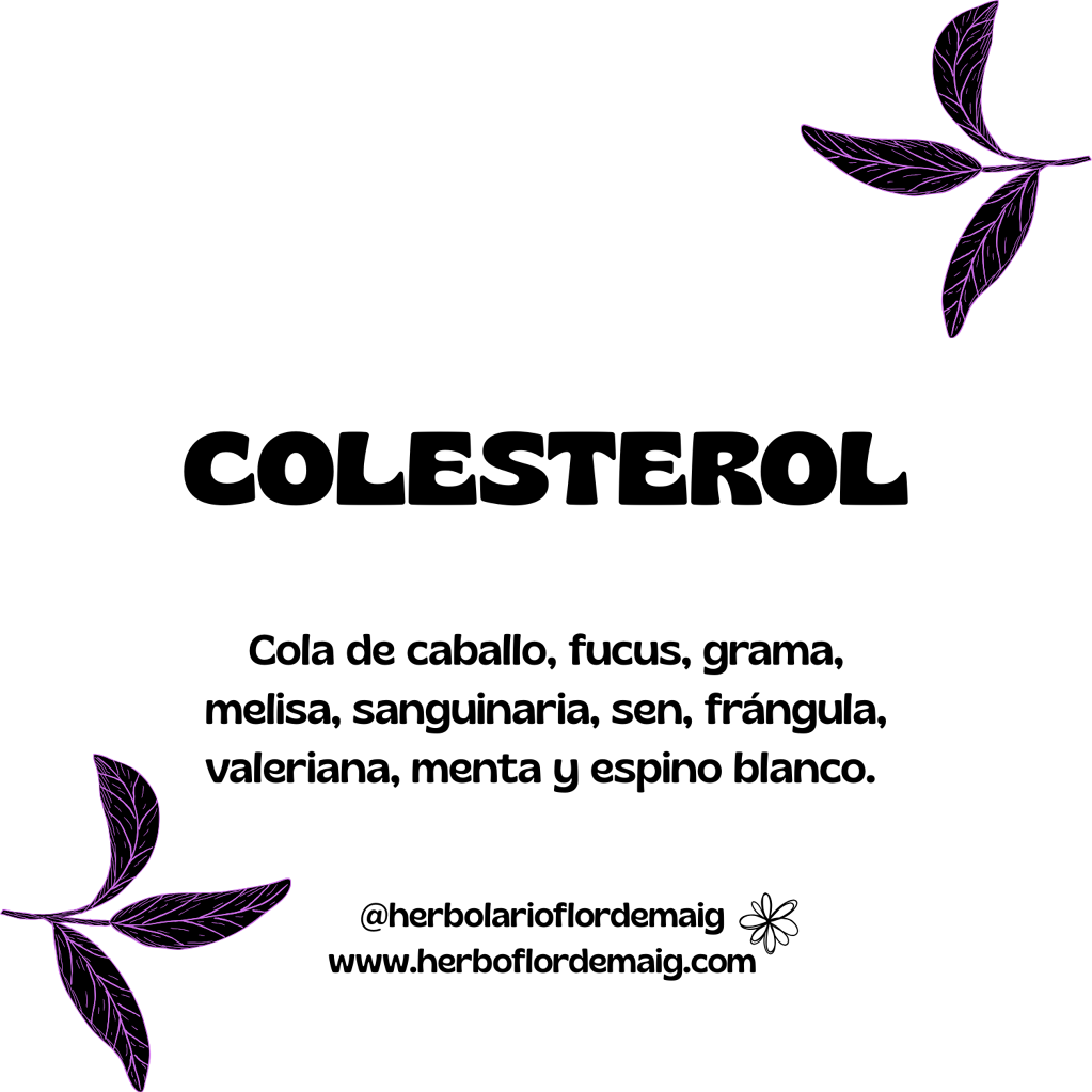 INFUSIÓN ANTI COLESTEROL