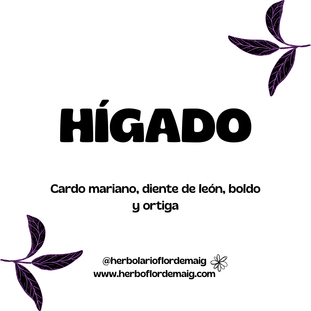 INFUSIÓN HÍGADO