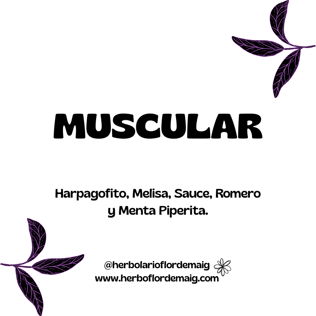 INFUSIÓN MUSCULAR