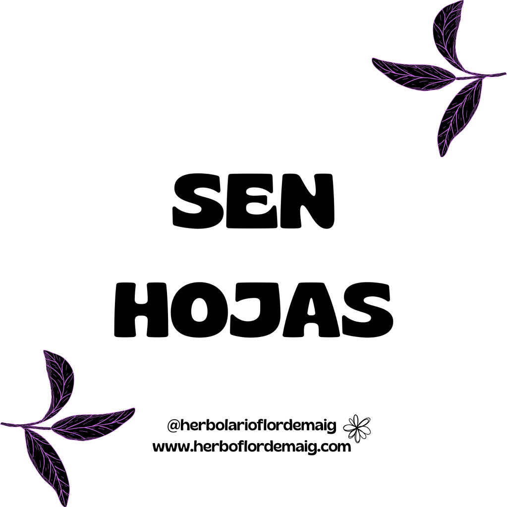 SEN HOJAS