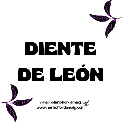 DIENTE DE LEÓN 100g - 21.png