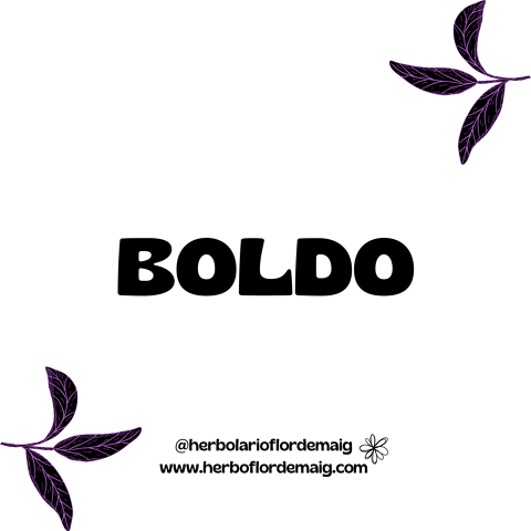 BOLDO HOJAS 100g - 22.png