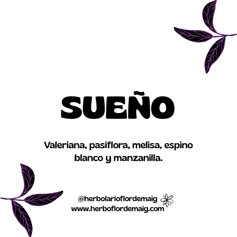 SUEÑO - 9.png