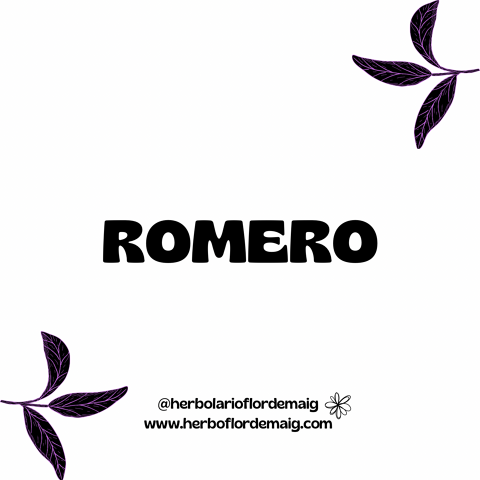 ROMERO 100g - infusion-pierde-peso---26.png