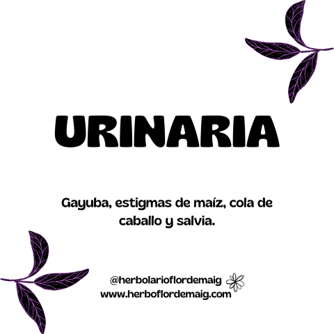 INFUSIÓN URINARIA  - infusion-pierde-peso--2-.png