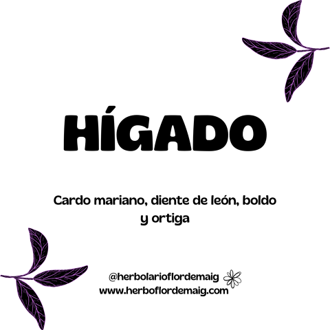 INFUSIÓN HÍGADO - infusion-pierde-peso--4--263c0.png