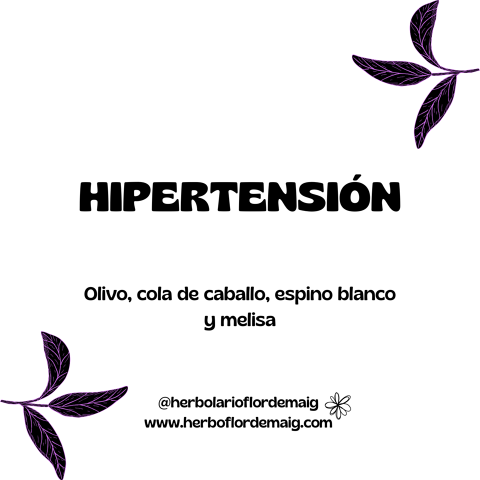 INFUSIÓN HIPERTENSIÓN - infusion-pierde-peso--4-.png