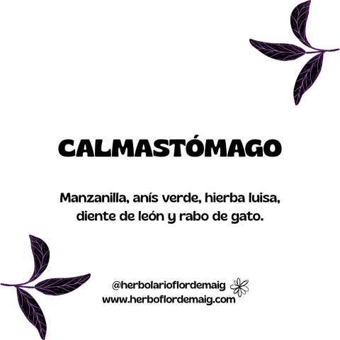 CALMASTÓMAGO - infusion-pierde-peso--5-.png
