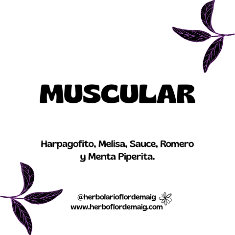 INFUSIÓN MUSCULAR - infusion-pierde-peso--6-.png