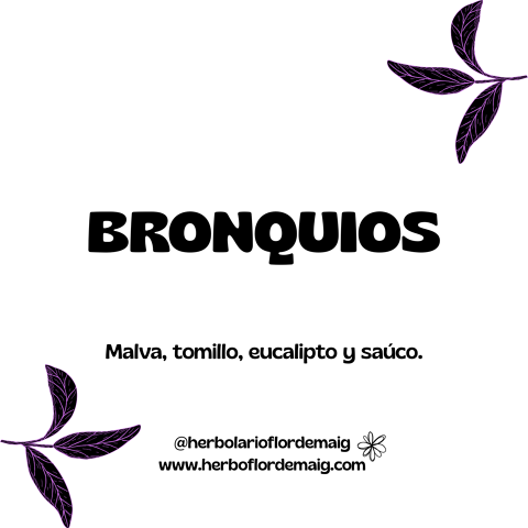 PREPARADO BRONQUIOS  - infusion-pierde-peso--7--a9259.png