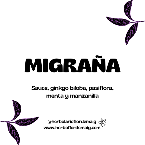 INFUSIÓN MIGRAÑA - infusion-pierde-peso--7-.png