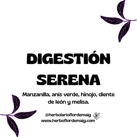 DIGESTIÓN SERENA - infusion-pierde-peso--8--0b7ce.png