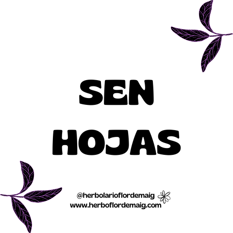 SEN HOJAS - infusion-pierde-peso--8-.png